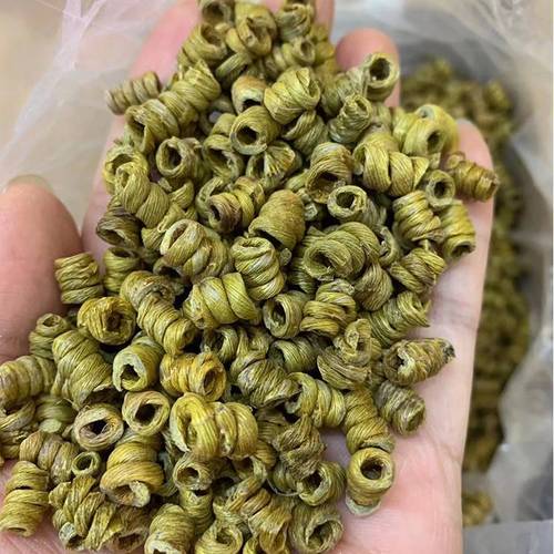 霍山铁皮石斛 从\